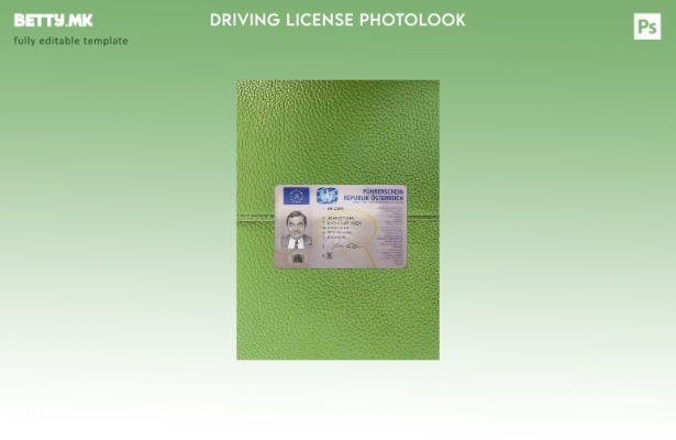 Модерен стил Австрија DL photolook ПРЕДЕН шаблон